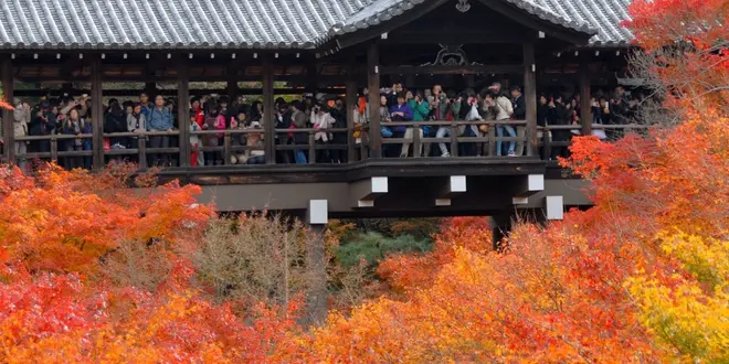 JR線だけで京都の紅葉を巡る 東福寺から泉涌寺七福神まで