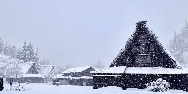 冬こそ行きたい！世界遺産白川郷❄️伝統文化と伝統工芸を味わう旅