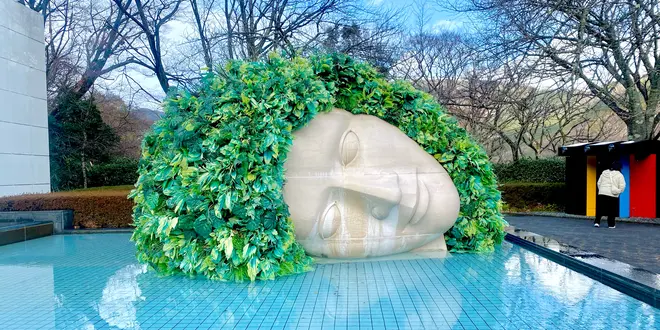 【1月の箱根】♨️寒いからいいのよ。