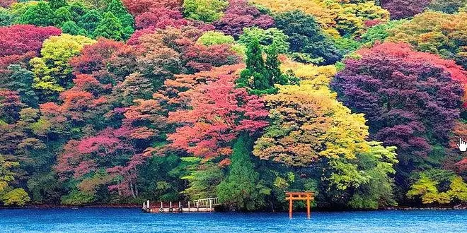 夫婦で楽しむ秋の富士旅