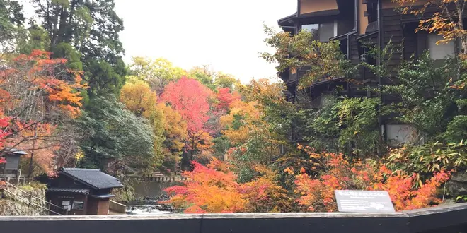 ミシュランで二つ星☆☆日本が誇る熊本阿蘇の黒川温泉と周辺観光スポット。