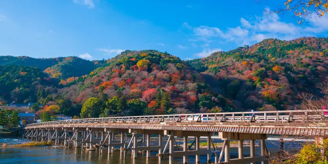 ☘一日京都観光☘嵐山･岡崎