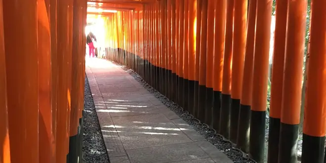 心が洗われる京都旅