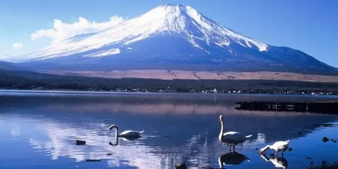 山中湖・河口湖で富士山とスイーツと手作り体験を楽しむ旅