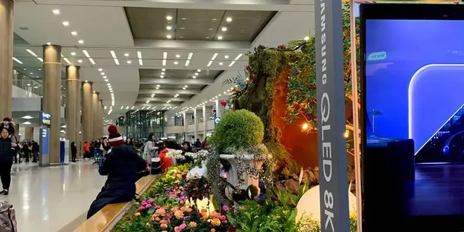 韓国2泊3日旅行