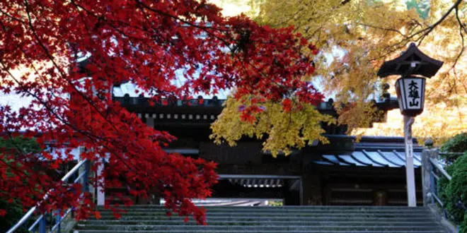 紅葉が見事な古刹「大雄山最乗寺」を中心にハイキングがてら巡る南足柄の名所