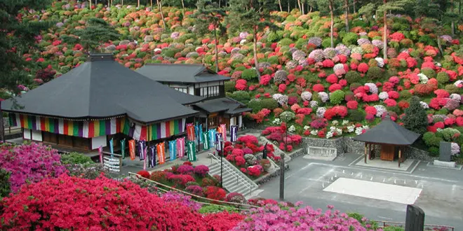 日帰り奥多摩自然満喫の旅