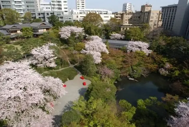 春だ花見だ白金だ!!大人向けの白金台散歩♪