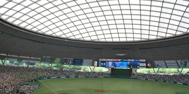 唯一無二の屋根付きドームで自然を感じながら野球観戦