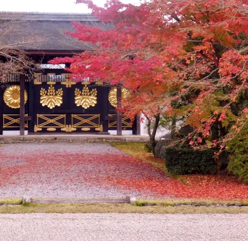 ゆる～く京都歴史探訪♡テーマは”秀吉と桃山文化”