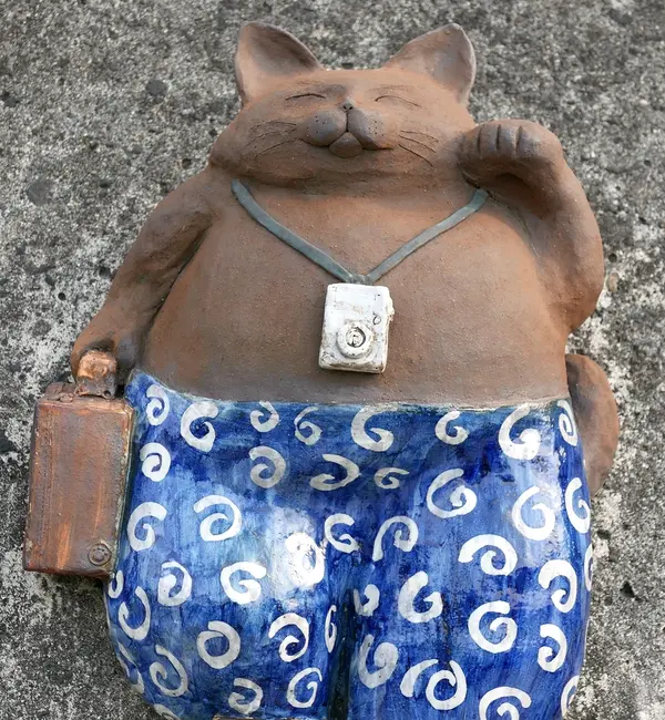 旅行スタイルの猫