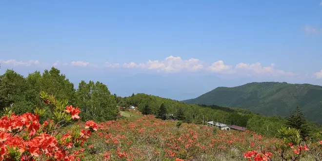 信州須坂６月の"花いっぱい"おでかけプラン