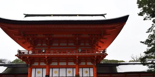 【京都】下鴨神社周辺をおでかけ🏃