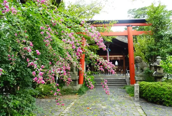 漢国神社の写真・動画_image_195124