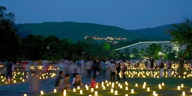 奈良の夏の風物詩、なら燈花会。はじめて行くならこんなとこ。