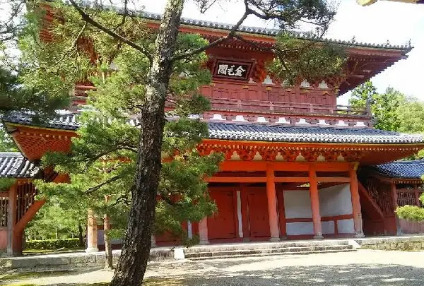 龍寶山　大徳寺の写真・動画_image_233108