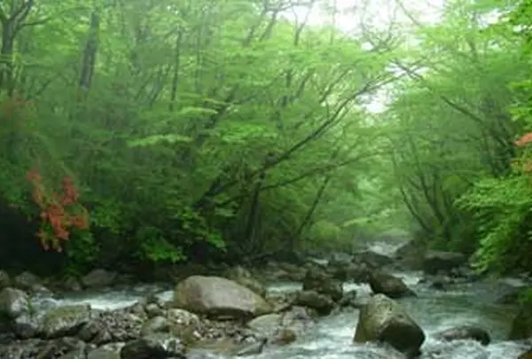 那須平成の森