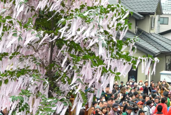 熊野神社の写真・動画_image_27434