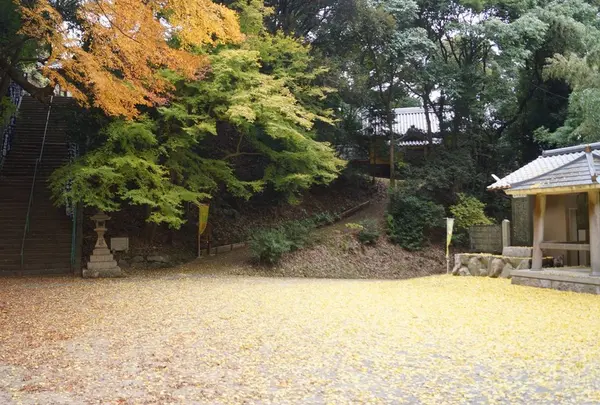 岩上神社の巨石の写真・動画_image_154187