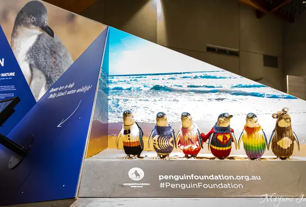 Penguin Parade Visitor Centre