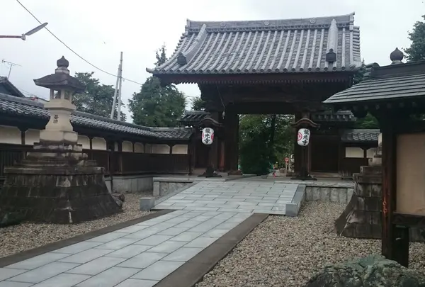 龍光寺の梵鐘の写真・動画_image_148463