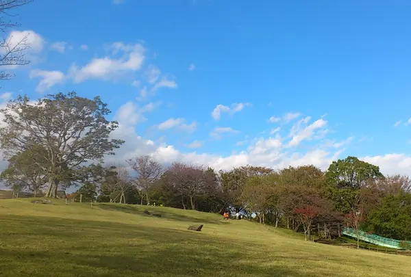 吾妻山公園の写真・動画_image_43483