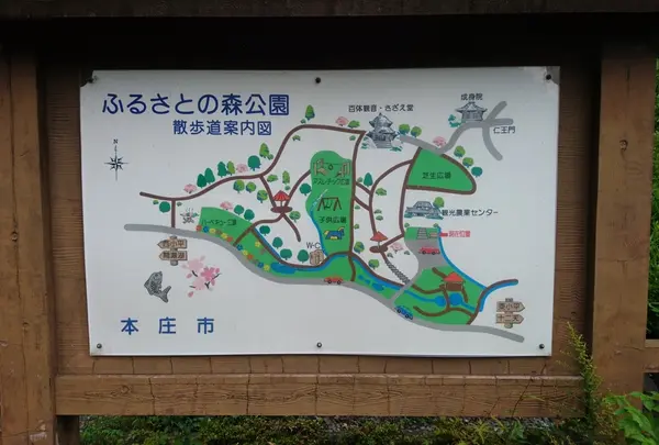 本庄市ふるさとの森公園の写真・動画_image_315670