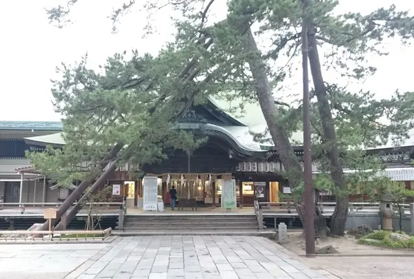 新潟総鎮守 白山神社の写真・動画_image_145135