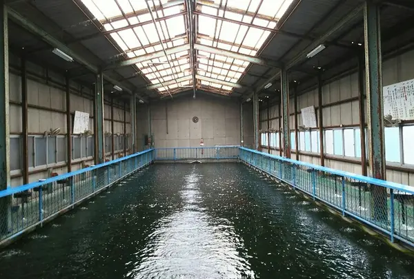 【釣り】東大阪釣堀センター