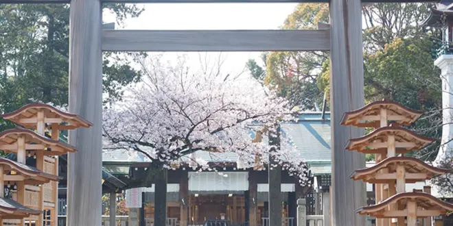 桜🌸を見に🚢横浜散歩