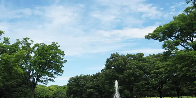 憧れのあの子もこれでイチコロ💘 表参道バレンタインデートプラン