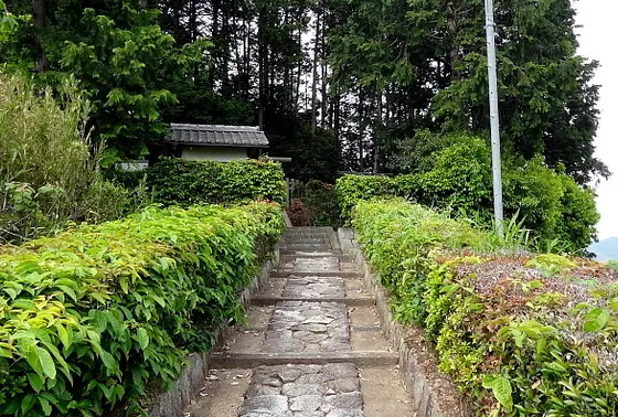 日本で唯一 茶畑の中の陵墓