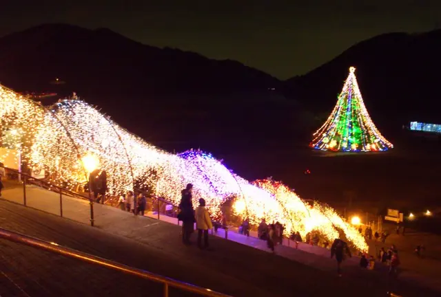 集落全体がクリスマス☆　別世界の様なキラキラ清川村！
