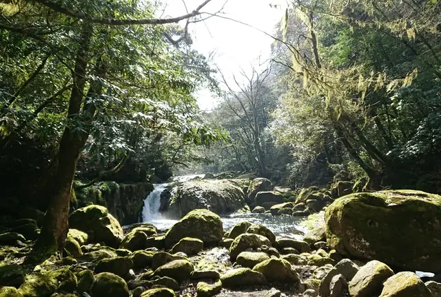 フィットンチッドの森“菊池渓谷”＆日本の名湯百選菊池温泉で癒しとパワーを♪