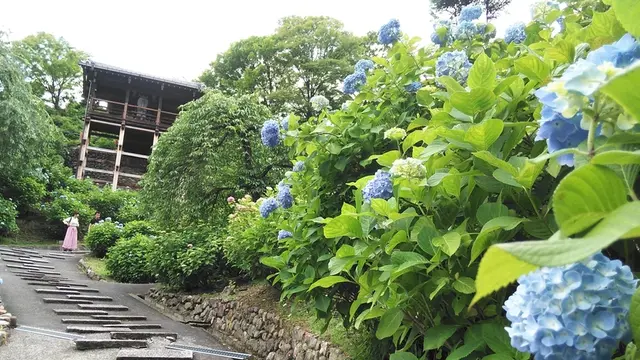 「そうだ、京都・洛西の穴場の寺社、行こう。」