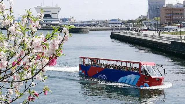横浜 各種クルージング・乗船体験・船鑑賞など