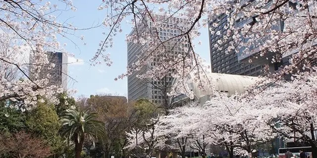 日比谷 お花見ついでに日比谷ミッドタウンへ！