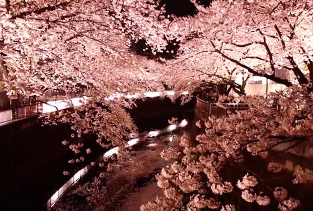 渋谷から20分桜も新緑も素晴らしい場所★成城学園前