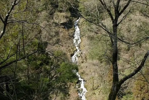 白水の滝の写真・動画_image_633390