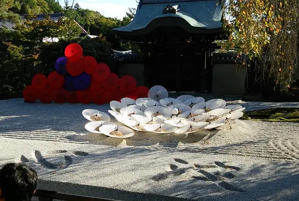 圓徳院