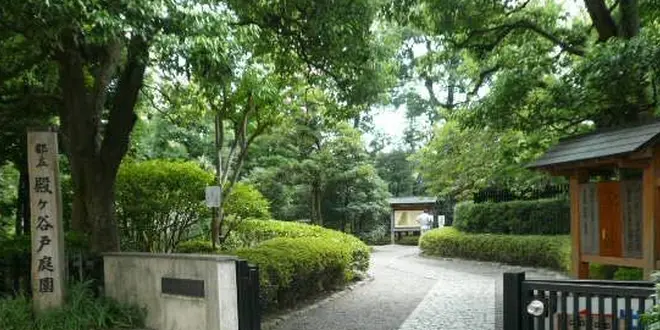新宿から20分。国分寺で都会の喧騒を忘れ、歴史と自然に癒されたい。