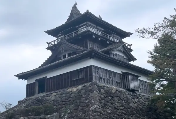 丸岡城の写真・動画_image_1554426