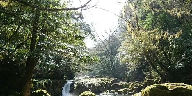 フィットンチッドの森“菊池渓谷”＆日本の名湯百選菊池温泉で癒しとパワーを♪