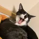 Mana