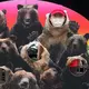 タイ米