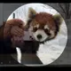 かんまる