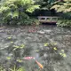 hiroco