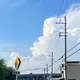 ひな
