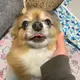 りく