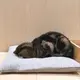 みちゃん